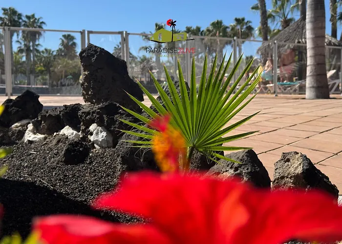 Apartment Casita Mosaico