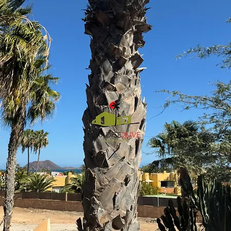 Appartamento Casita Mosaico