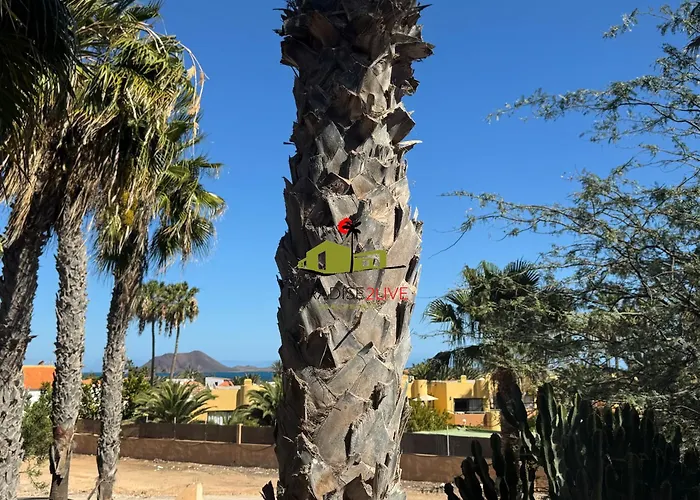 Daire Casita Mosaico