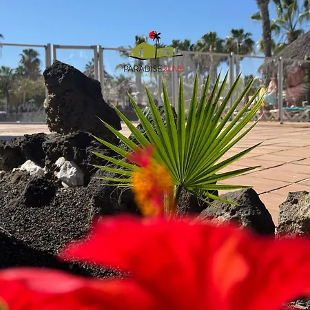 Apartamento Casita Mosaico